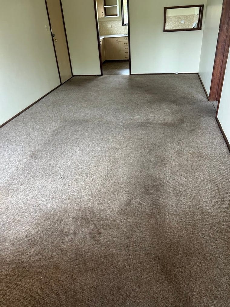 Carpet before cleaning, stained lounge room in Batemans Bay